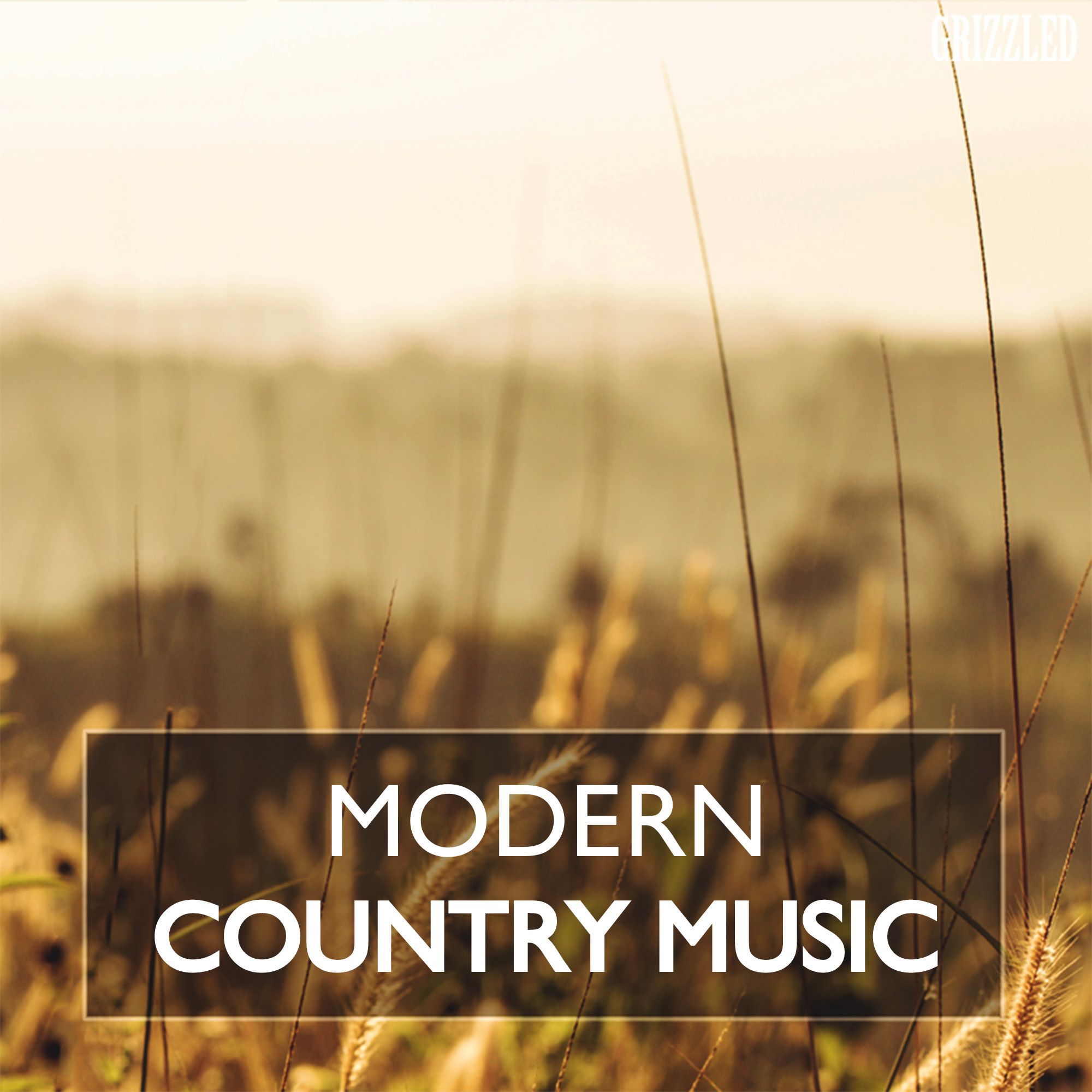 http://grizzledmusic.com/wp-content/uploads/2024/04/Modern-Country-Music.jpg